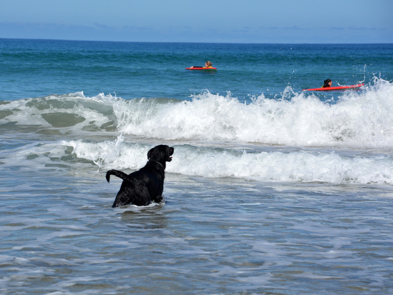 media.Gallery_Spiaggia_4Hotel_Miraggio_Rimini